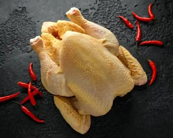Pollo